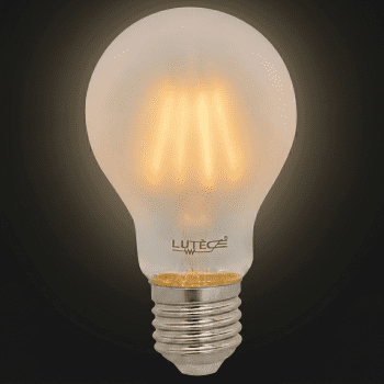 Ampoules LED Filament Dépolie Standard - E27 / 6W / 750lm / 2700K / E (x2pcs)
