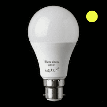 Ampoule LED Standard - B22 / 5,9W / 806lm / 3000K / D