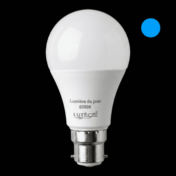 Ampoule LED Standard - B22 / 5.9W / 806LM / 6500K / D (x2pcs)