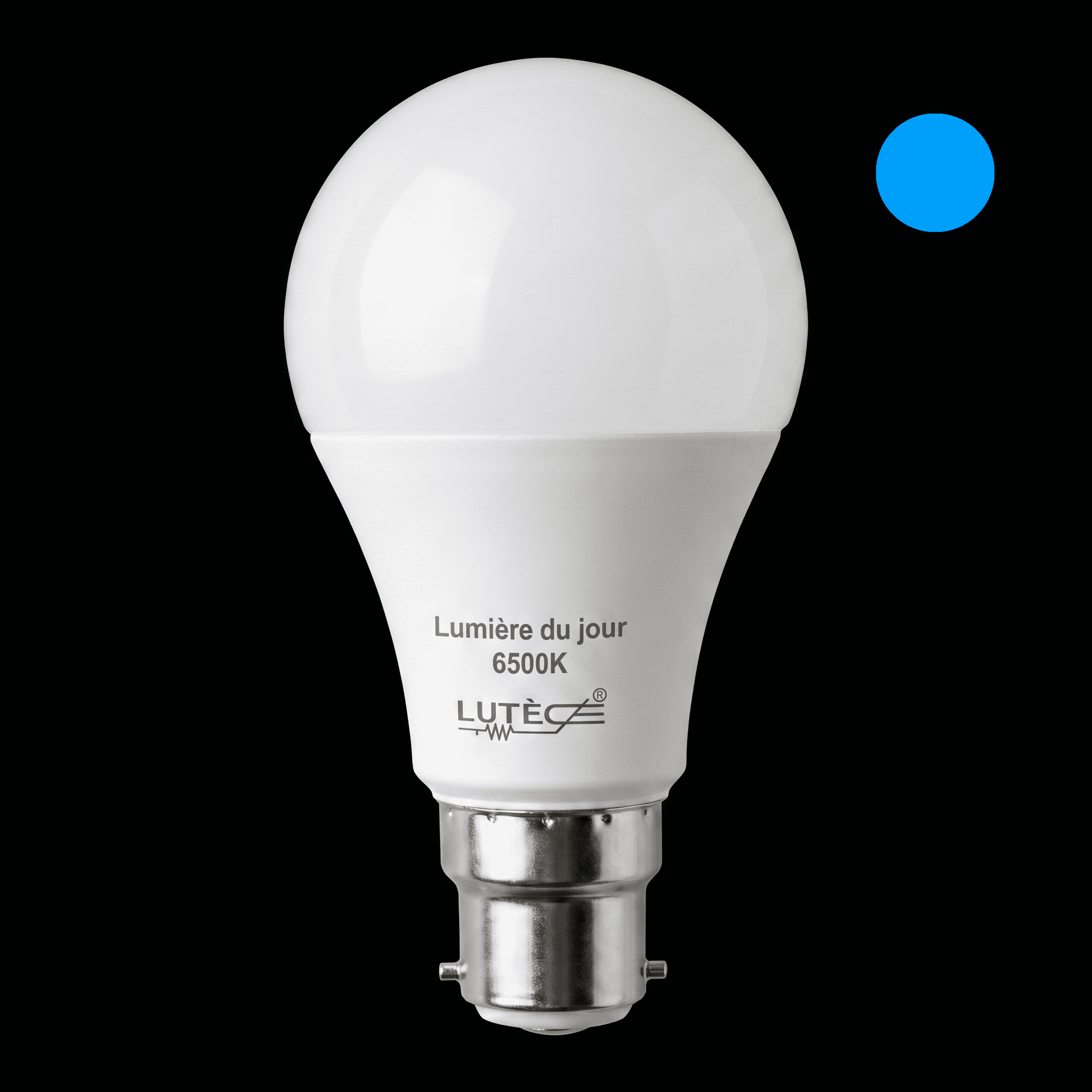 Ampoule LED Standard - B22 / 5.9W / 806LM / 6500K / D (x2pcs)