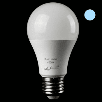 Ampoule LED Standard - E27 / 5.9W / 806LM / 4000K / D