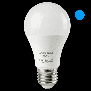 Ampoule LED standard - B22 / 1521 / 13W / 6500K / E