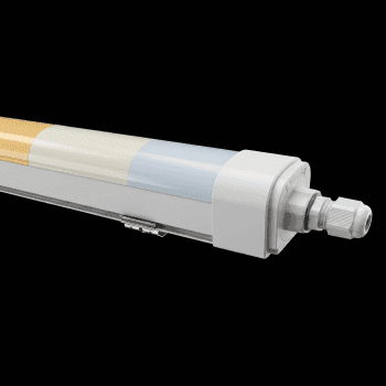 Réglettes LED IP65
